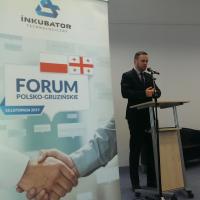 18.11.2015 - Forum Polsko - Gruzińskie